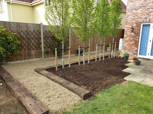 A area of garden close to a house that has sleeper edging and several small trees as an edging.
